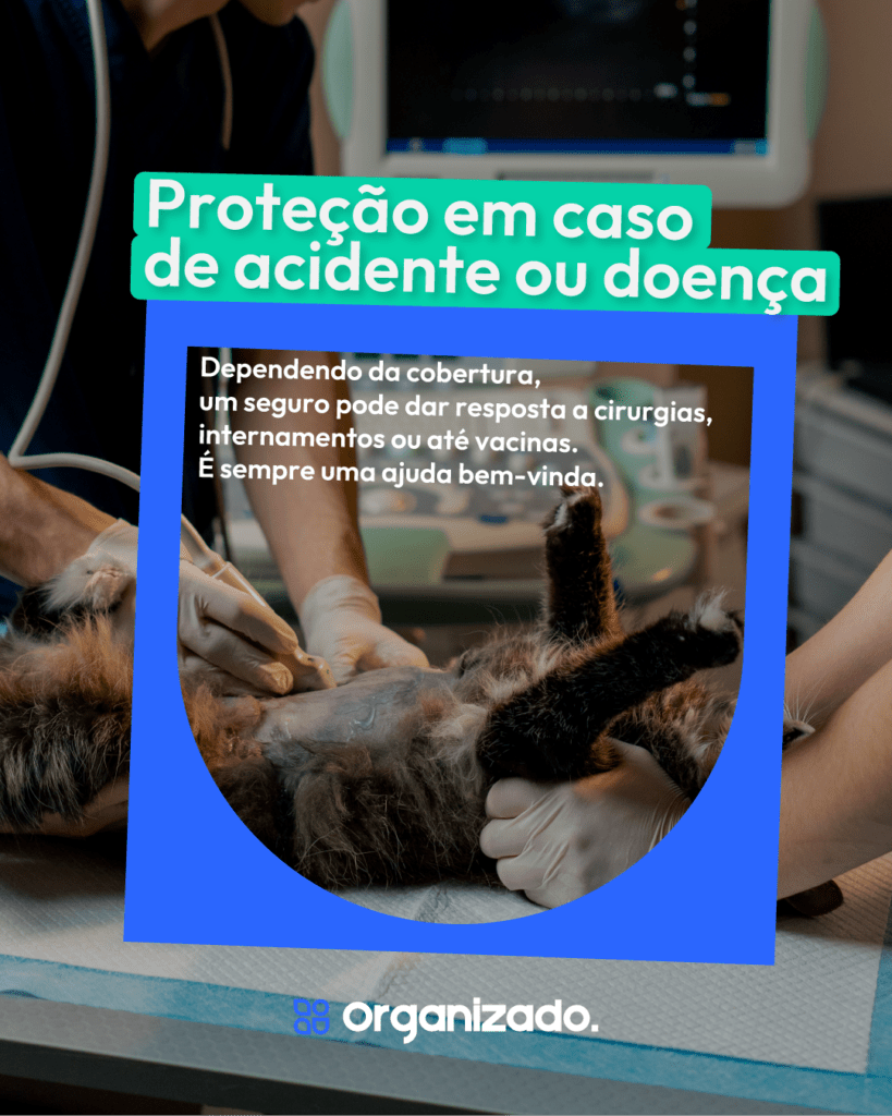 1350x1080_SeguroAnimais_3