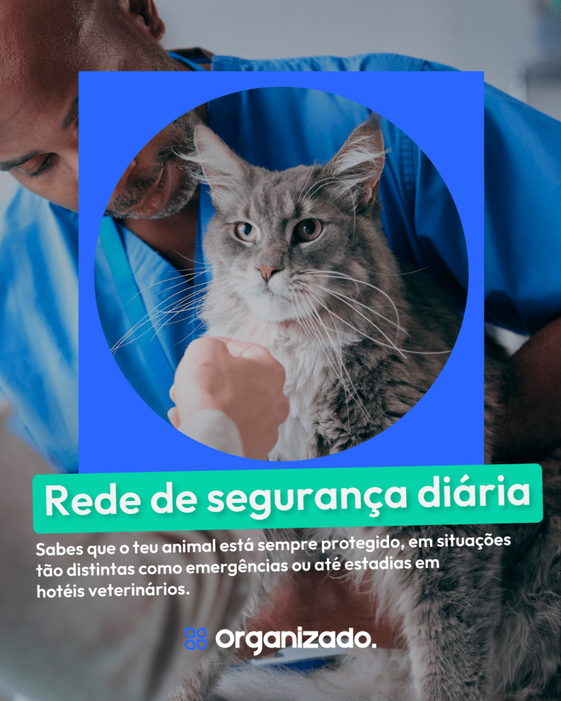 1350x1080_SeguroAnimais_4