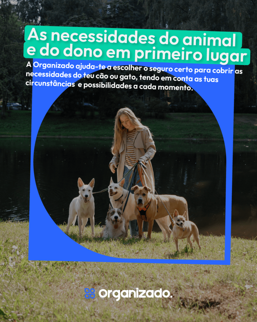 1350x1080_SeguroAnimais_5